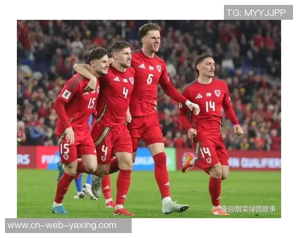 威尔士与比利时比赛前瞻及胜负预测分析全面解读 威尔士与比利时比赛前瞻及胜负预测分析全面解读